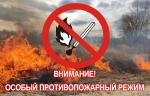 В Петербурге начал действовать особый противопожарный режим