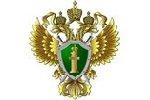 Прокуратурой Калининского района г. Санкт-Петербурга проведена «горячая линия» по наркотикам