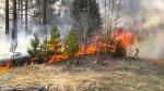 Пожароопасный период в лесу