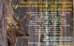 Конкурс фотографий, посвященный животному миру и природе Ленинградской области