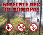 Соблюдайте правила пожарной безопасности в лесу