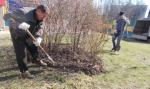 В Финляндском округе проведены работы по обработке зеленых насаждений