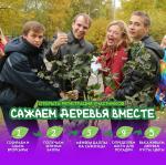 Жителей Калининского района приглашают принять непосредственное участие в озеленении своих дворов