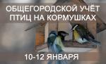 Петербуржцев вновь приглашают посчитать птиц на кормушках