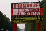 Введен запрет на посещение лесов Ленинградской области
