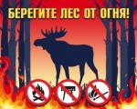 МЧС напоминает: соблюдайте правила пожарной безопасности в лесах!