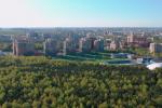 Общественные обсуждения методики оценки экологического состояния зеленых насаждений Санкт-Петербурга