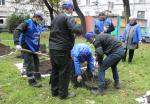В октябре в Петербурге посадили почти две тысячи деревьев