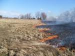 О запрете проведения пала травы  на территории Калининского района