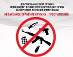 В России ужесточили уголовную ответственность по «оружейной» статье.