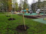 Финляндский округ присоединился к акции «Сад памяти»