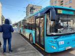 На городских маршрутах Санкт-Петербурга теперь еще больше комфортных автобусов