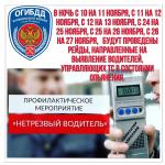 В Петербурге и Ленобласти сотрудники ГИБДД проведут рейды по выявлению нетрезвых водителей