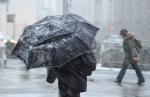 В Петербурге объявлен «желтый» уровень опасности из-за усиления ветра